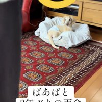 3年ぶりに、おばあちゃんが目の前に