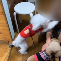 「僕ももっとナデナデしてー！」