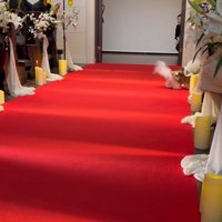 ミロちゃんがリングドッグに挑戦4