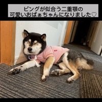 寝そべる鶴ちゃん