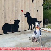 これからも幸せにね！！