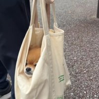 思わず二度見する可愛さ