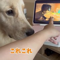 困惑する麹くん8