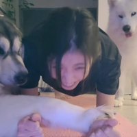 笑ってしまう飼い主さん