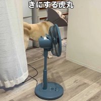 「早くご飯が食べたいな～♪」