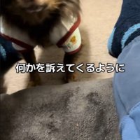 テープくんの変化4
