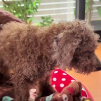 家族の絆を感じる一幕