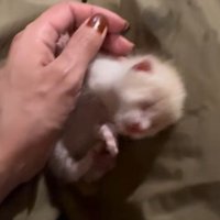 体調も芳しくない…