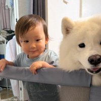 仲良し
