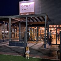 食いしん坊で可愛い♡