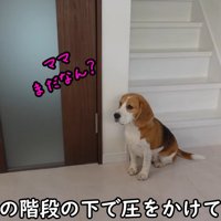 出勤前のママさんとメイちゃん2