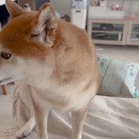 ものすごく寂しそう！