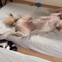 これからも仲良くね♡