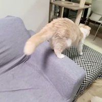 逃げて行きました…