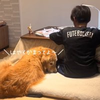 隣で待つ犬