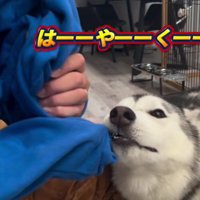 「早くお散歩に行こう！！」