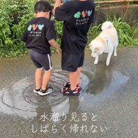 水たまりで遊ぶスズちゃんたち
