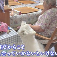 「そばにいるよ」