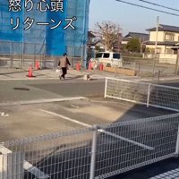 散歩をする犬と女性を遠くから見守る男性