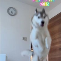 楽しくなってきた～♪