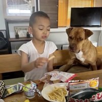 じょーくん、おやつをガン見