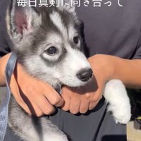 はまちちゃんの成長記録6