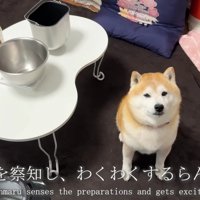 ワクワクが止まらない