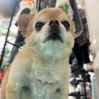 筋トレ中の投稿者さんを監視！
