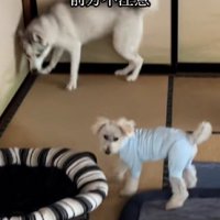 ボスに追いやられて部屋の隅へ