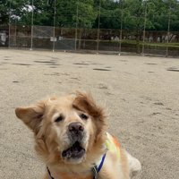 ハッ