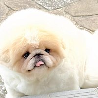 小さな虫も見逃さない