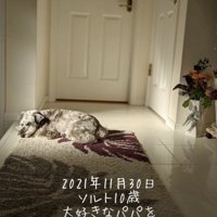 「早く帰ってこないかなー」