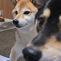 うめちゃんもやってきた♪