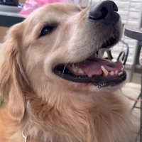心地いい風にあたりながら…