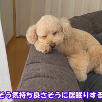のんびりリラックス中