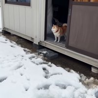 真っ白な雪が眩しい