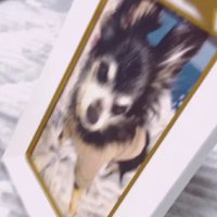 はるちゃんのことが大好きだった