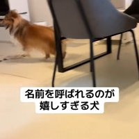 名前を呼ばれた時のリックくん7