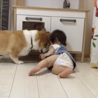 ゆいちゃん「とれたよ」