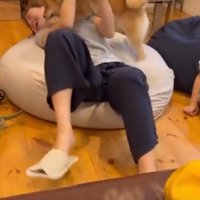 お母さんと遊ぶ犬2