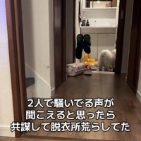 脱衣所の入口が見える廊下