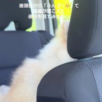 なんとしても近づきたい！？