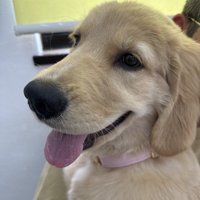 ニコニコ