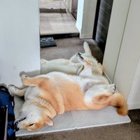 のんびり