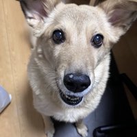 間違えてお父さんに…