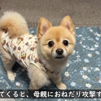 「ばあば、忘れてない…？」