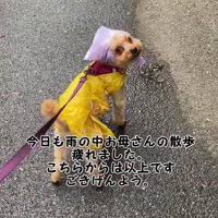 雨の日限定スタイルです♡