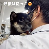 抱っこされる子犬