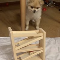 やっぱり見ちゃう