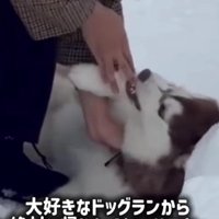 パパの手をガブリ！！